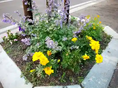 札幌祖霊神社の周辺