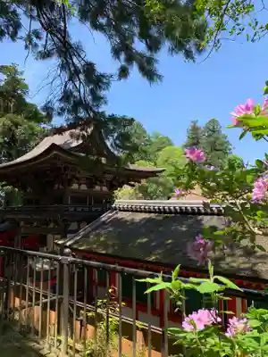 石上神宮の本殿・本堂