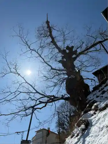 武蔵御嶽神社(東京都)