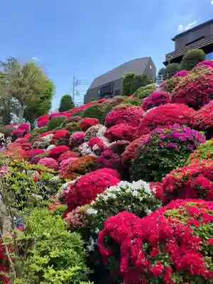 根津神社(東京都)