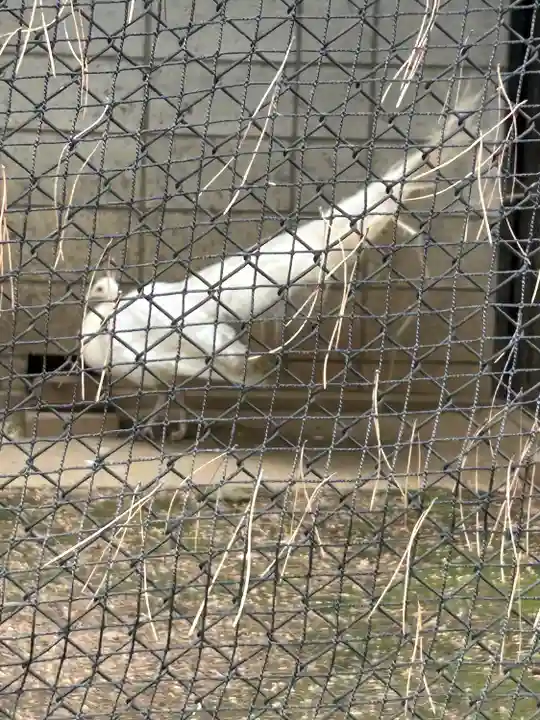 武蔵一宮氷川神社(埼玉県)
