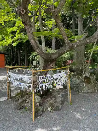 冨士御室浅間神社(山梨県)