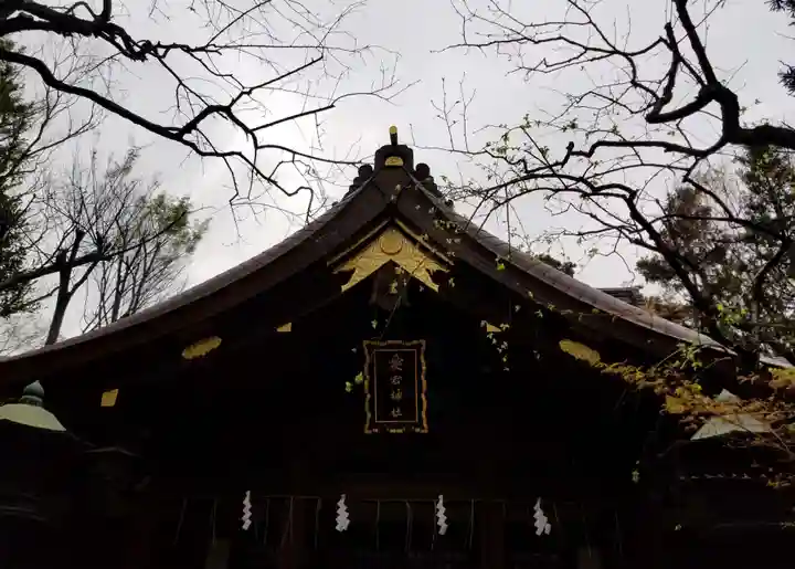愛宕神社の本殿・本堂