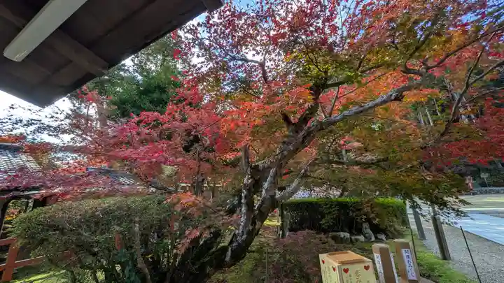 大原野神社(京都府)