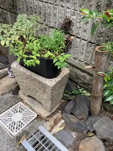 慈光寺の手水舎