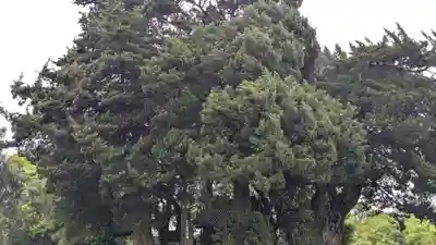荒魂神社(香川県)