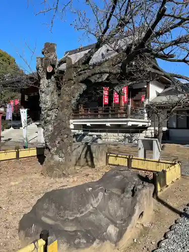 寛永寺開山堂の庭園