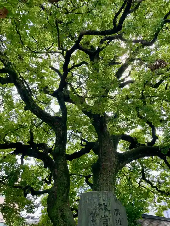 養福寺(東京都)