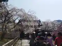醍醐寺(京都府)
