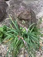 三輪神社の自然