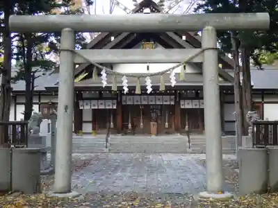 新琴似神社の鳥居