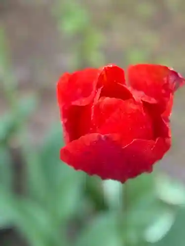 西方山極楽寺(岐阜県)