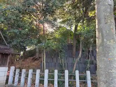 八雲神社(埼玉県)