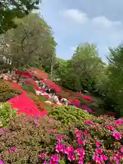 根津神社の庭園