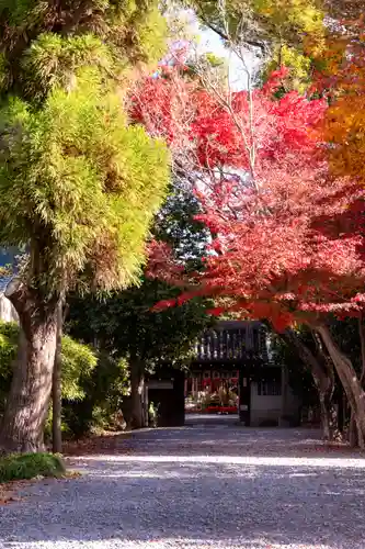 水無瀬神宮(大阪府)