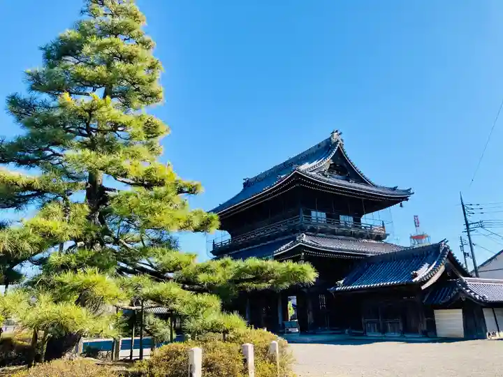 大通寺(長浜御坊)のその他建物