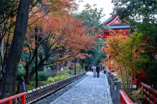 賀茂御祖神社（下鴨神社）(京都府)