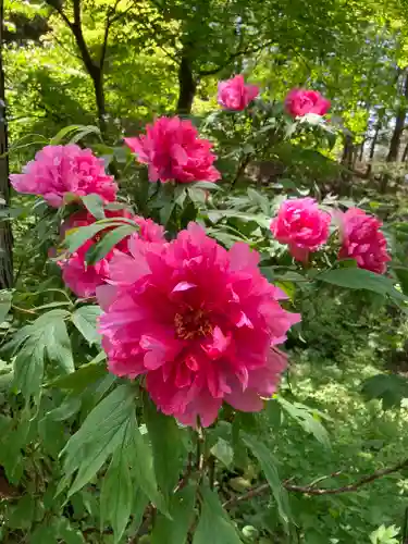 遠照寺(長野県)