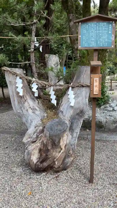 大和神社(奈良県)