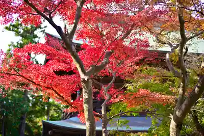 円覚寺(神奈川県)