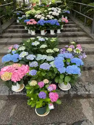 岡寺（龍蓋寺）の{uncategorized: "未分類", other: "その他", undefined: "問題あり", building: "その他建物", grave: "お墓", sacred_gate: "鳥居", guardian: "狛犬", statue: "像", buddha: "仏像", history: "歴史", nature: "自然", garden: "庭園", animal: "動物", pagoda: "塔", temizu: "手水舎", mountain_gate: "山門・神門", sanctuary: "本殿・本堂", subordinate: "末社・摂社", art: "芸術", scenery: "景色", jizo: "地蔵", ema: "絵馬", goshuin: "御朱印", omikuji: "おみくじ", items: "授与品その他", amulet: "お守り", goshuincho: "御朱印帳", eats: "食事", festival: "お祭り", votive_dance: "神楽", shichigosan: "七五三参", wedding: "結婚式", experience: "体験その他", initially: "初詣", around: "周辺", anti_infection: "感染症対策"}