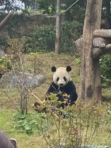上野東照宮(東京都)