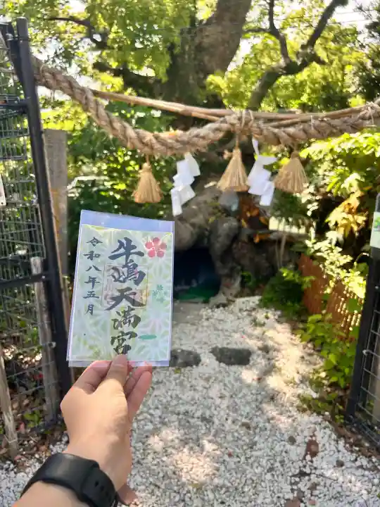 牛嶋天満宮の{uncategorized: "未分類", other: "その他", undefined: "問題あり", building: "その他建物", grave: "お墓", sacred_gate: "鳥居", guardian: "狛犬", statue: "像", buddha: "仏像", history: "歴史", nature: "自然", garden: "庭園", animal: "動物", pagoda: "塔", temizu: "手水舎", mountain_gate: "山門・神門", sanctuary: "本殿・本堂", subordinate: "末社・摂社", art: "芸術", scenery: "景色", jizo: "地蔵", ema: "絵馬", goshuin: "御朱印", omikuji: "おみくじ", items: "授与品その他", amulet: "お守り", goshuincho: "御朱印帳", eats: "食事", festival: "お祭り", votive_dance: "神楽", shichigosan: "七五三参", wedding: "結婚式", experience: "体験その他", initially: "初詣", around: "周辺", anti_infection: "感染症対策"}