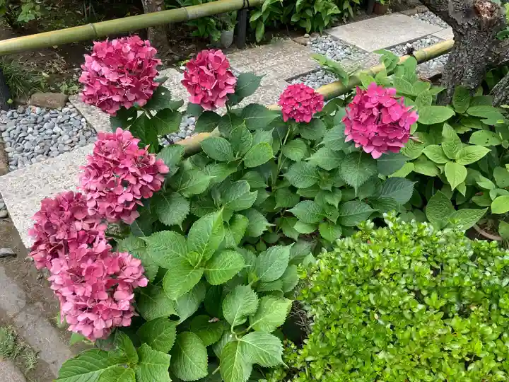 収玄寺の手水舎