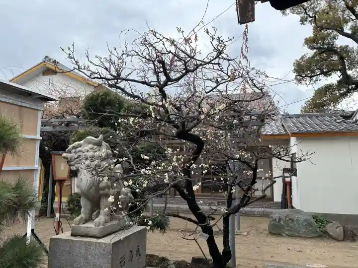 難波熊野神社の{uncategorized: "未分類", other: "その他", undefined: "問題あり", building: "その他建物", grave: "お墓", sacred_gate: "鳥居", guardian: "狛犬", statue: "像", buddha: "仏像", history: "歴史", nature: "自然", garden: "庭園", animal: "動物", pagoda: "塔", temizu: "手水舎", mountain_gate: "山門・神門", sanctuary: "本殿・本堂", subordinate: "末社・摂社", art: "芸術", scenery: "景色", jizo: "地蔵", ema: "絵馬", goshuin: "御朱印", omikuji: "おみくじ", items: "授与品その他", amulet: "お守り", goshuincho: "御朱印帳", eats: "食事", festival: "お祭り", votive_dance: "神楽", shichigosan: "七五三参", wedding: "結婚式", experience: "体験その他", initially: "初詣", around: "周辺", anti_infection: "感染症対策"}