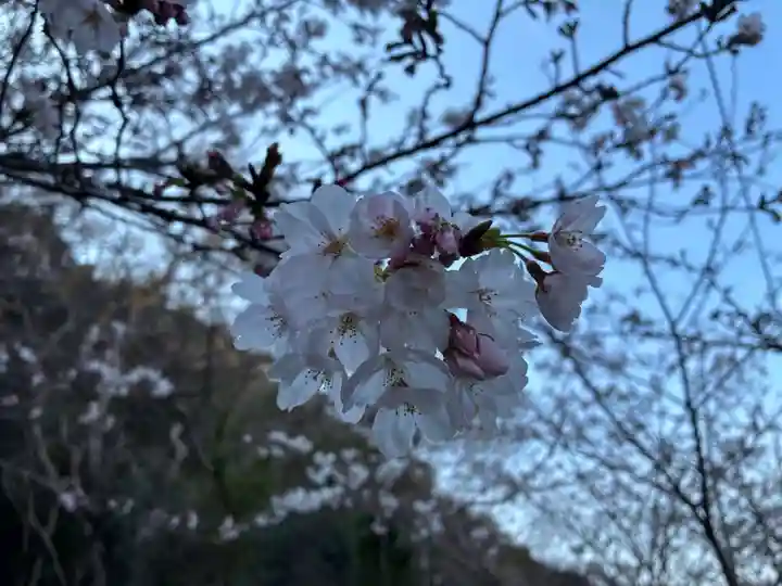 徳島眉山天神社(徳島県)