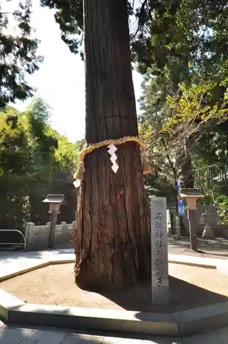 石鎚神社 口之宮 本社(愛媛県)