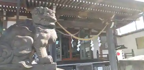 今泉八坂神社の狛犬