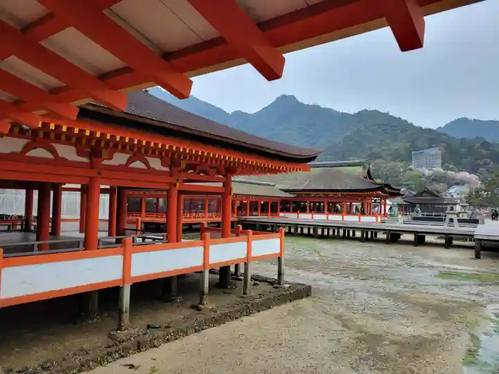 厳島神社(広島県)