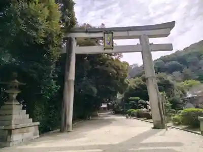 高良神社の{uncategorized: "未分類", other: "その他", undefined: "問題あり", building: "その他建物", grave: "お墓", sacred_gate: "鳥居", guardian: "狛犬", statue: "像", buddha: "仏像", history: "歴史", nature: "自然", garden: "庭園", animal: "動物", pagoda: "塔", temizu: "手水舎", mountain_gate: "山門・神門", sanctuary: "本殿・本堂", subordinate: "末社・摂社", art: "芸術", scenery: "景色", jizo: "地蔵", ema: "絵馬", goshuin: "御朱印", omikuji: "おみくじ", items: "授与品その他", amulet: "お守り", goshuincho: "御朱印帳", eats: "食事", festival: "お祭り", votive_dance: "神楽", shichigosan: "七五三参", wedding: "結婚式", experience: "体験その他", initially: "初詣", around: "周辺", anti_infection: "感染症対策"}