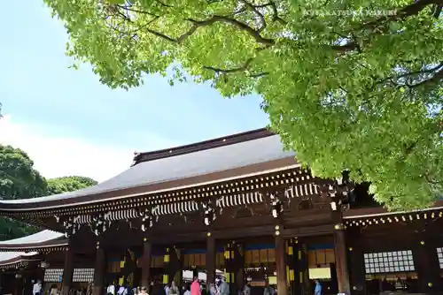 明治神宮(東京都)