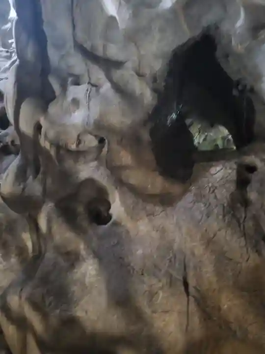 橋立堂のその他建物