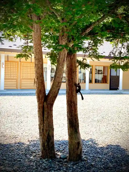 音更神社の動物