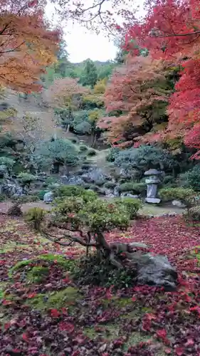 清滝寺徳源院(滋賀県)