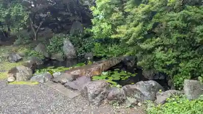 東伝寺の庭園