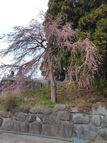 大乗寺(福島県)