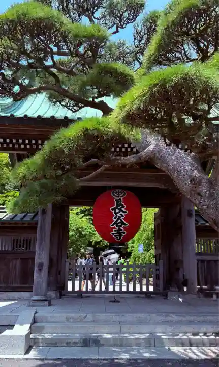 長谷寺(神奈川県)