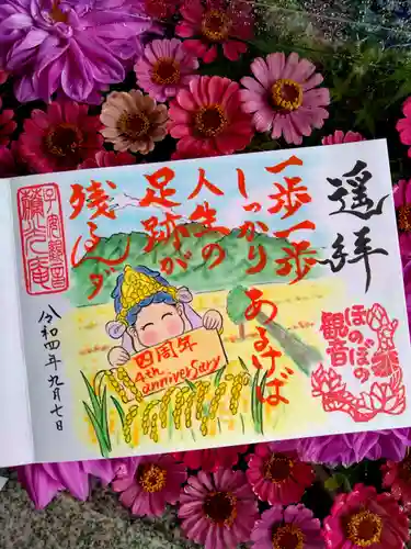 普済寺藤光庵の御朱印