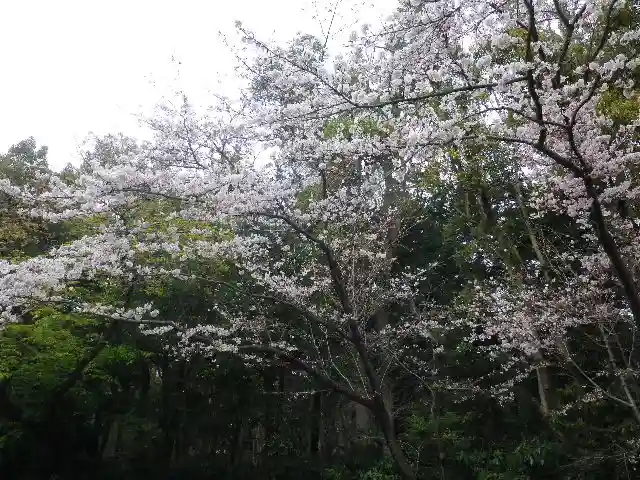 鶴岡八幡宮の自然