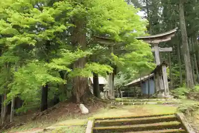 坂尾呂神社(京都府)