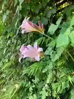 西明寺(長野県)