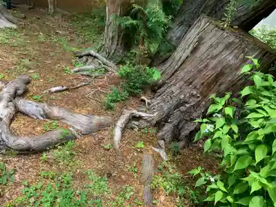 釜八幡神社(栃木県)