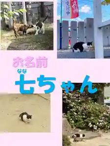 七宮神社(兵庫県)(2024年02月06日(火) 12時08分27秒投稿)