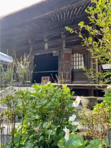 佛日庵の本殿・本堂