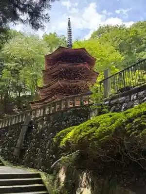 安楽寺(長野県)