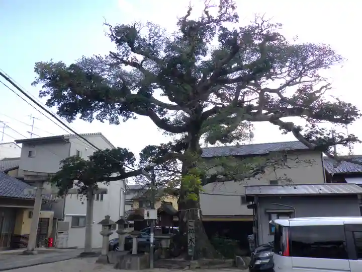 櫟谷七野神社の自然